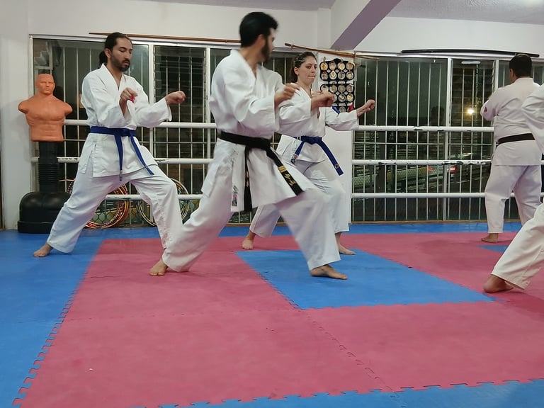 Karate class with multiple students in white gis practicing stances on a pink and blue mat in an indoor dojo