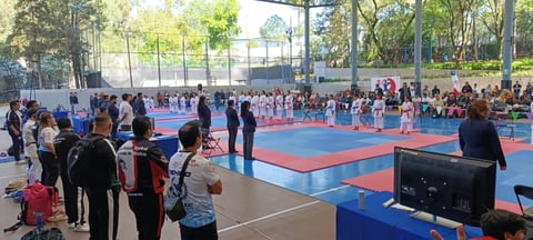 Outdoor martial arts or taekwondo competition in a park with multiple colored mats, spectators, and athletes in black uniforms