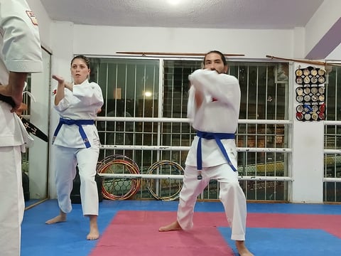 Two karate students in white gis with blue belts practicing kicks on a blue and red mat in a dojo