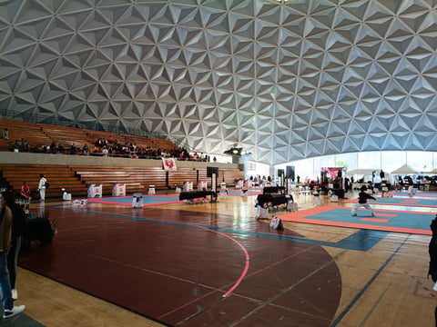 Large indoor sports facility with geometric patterned ceiling, multiple courts with colored markings, and spectators in bleachers
