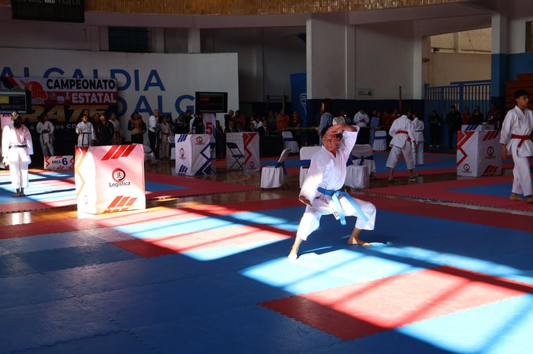 Young martial artist in white gi performs karate on illuminated mat during state championship competition indoors