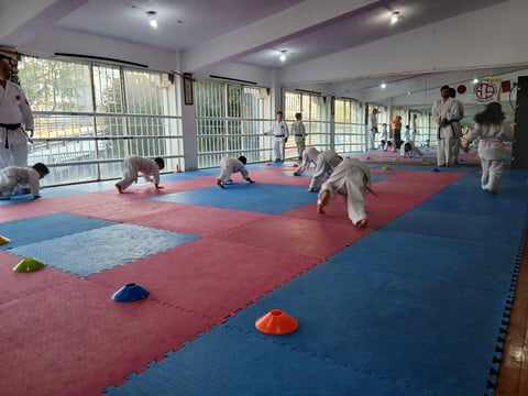 Children practicing martial arts on a padded gym floor with red and blue mats in a dojo training space