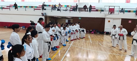 Martial arts students in white uniforms standing in formation in a gymnasium during a karate class or competition