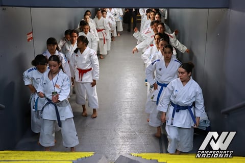 Group of karate students in white gis and colored belts standing in two lines facing each other in a dojo training facility
