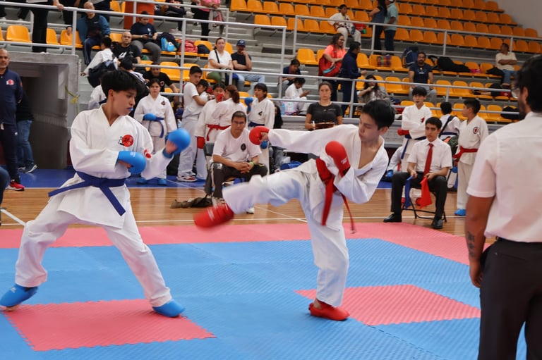 Two young karate competitors sparring during a tournament match in a ring with colorful mats and spectators in the background